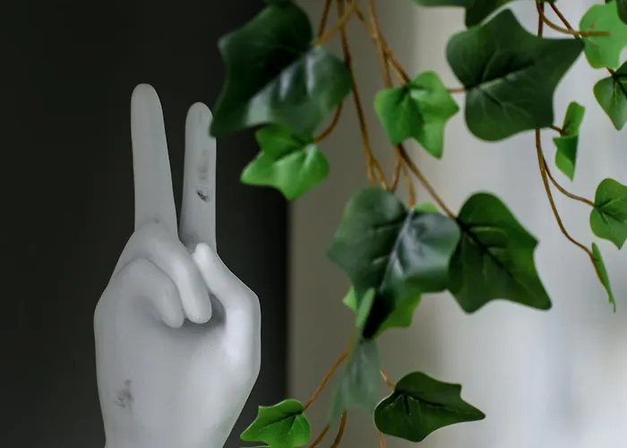 Lejlighed Prochnika *