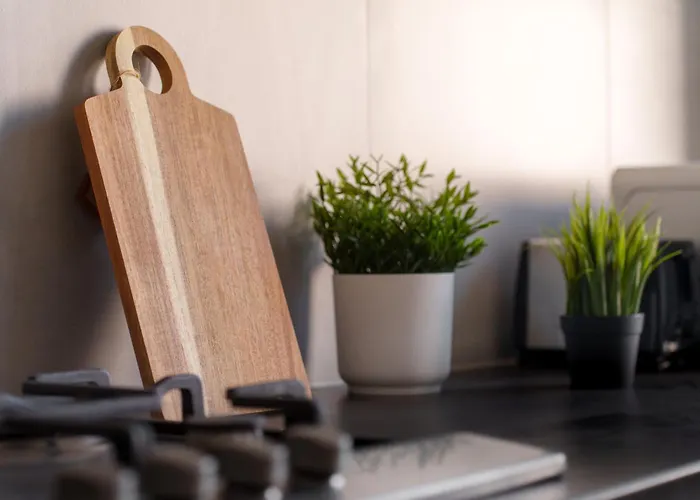 Prochnika Lejlighed Łódź